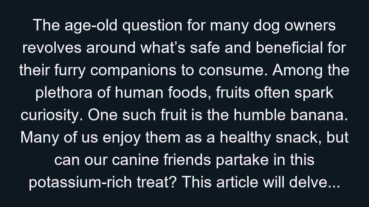 The age-old question for many dog owners revolves around what’s safe and beneficial for their furry companions to consume. Among the plethora of human foods, fruits often spark curiosity. One such fruit is the humble banana. Many of us enjoy them as a healthy snack, but can our canine friends partake in this potassium-rich treat? This article will delve deep into the question: **can dogs eat bananas** safely and what are the potential benefits and drawbacks? We'll explore everything from nutritional value to preparation and potential risks.